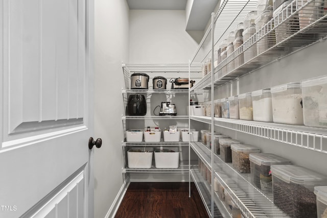 1313 Littlehills Dr, Apex, NC 27523 - view of pantry
