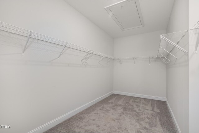321 Calvander Ln, Apex, NC 27539 - spacious closet with attic access and light colored carpet