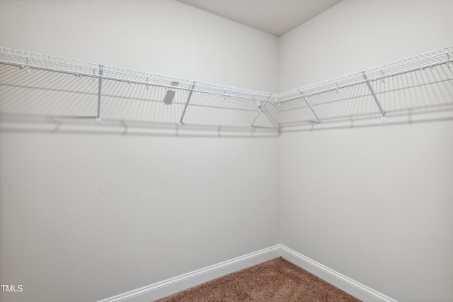 933 Weatherby Ln, Creedmoor, NC 27522 - walk in closet with dark colored carpet