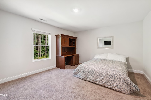 933 Weatherby Ln, Creedmoor, NC 27522 - bedroom featuring light colored carpet