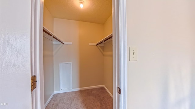 1446 Cimarron Pkwy Unit 64, Wake Forest, NC 27587 - spacious closet with carpet floors