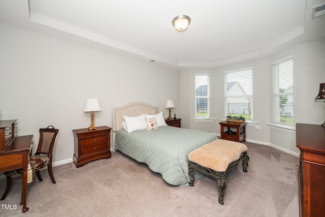 512 Courtship Cv, Durham, NC 27703 - bedroom with a tray ceiling and light colored carpet