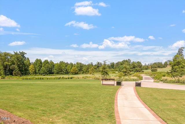209 Sage Oak Ln, Holly Springs, NC 27540 - surrounding community with a yard