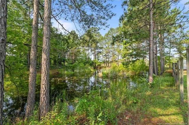 306 Longleaf Pines Dr, Raeford, NC 28376 - view of nature featuring a large body of water