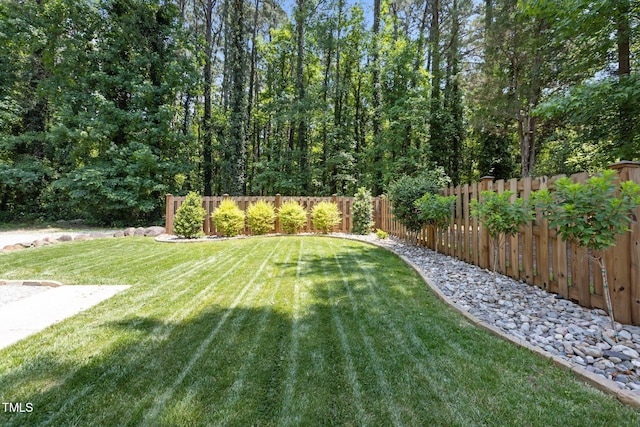 2710 Broad St, Durham, NC 27704 - view of yard