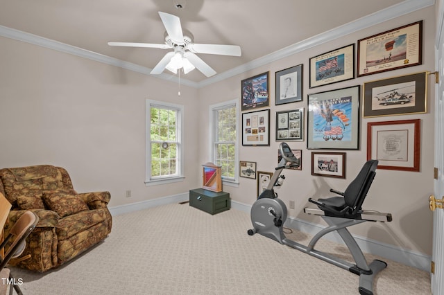 414 Bakewell Ct, Wake Forest, NC 27587 - exercise area with carpet, baseboards, ornamental molding, and a ceiling fan