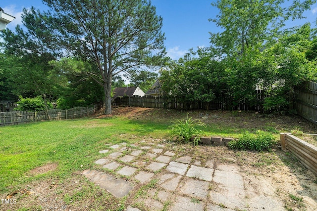 5006 Silhouette Dr, Durham, NC 27713 - view of yard