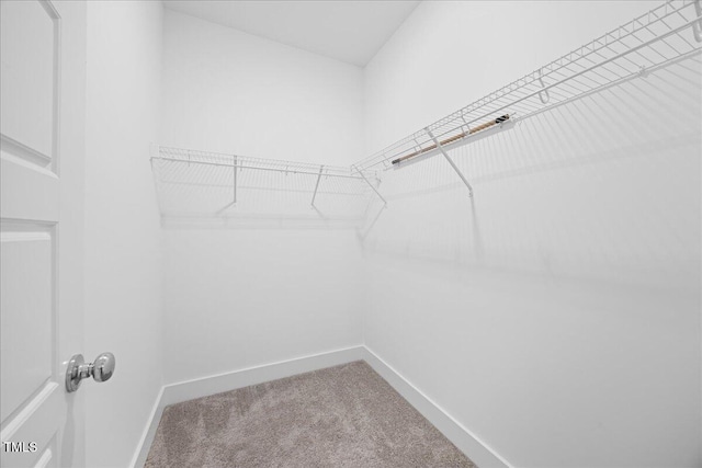 212 Aubey Ln, Wake Forest, NC 27587 - spacious closet featuring carpet
