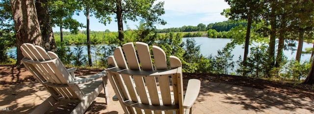 212 Aubey Ln, Wake Forest, NC 27587 - view of home's community with a water view and a patio