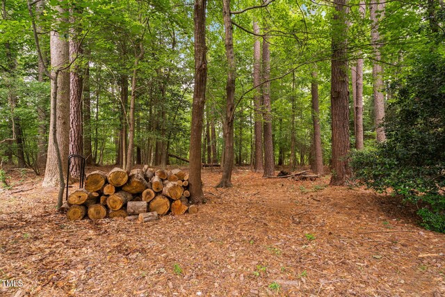 2724 Glastonbury Rd, Apex, NC 27539 - view of wooded area