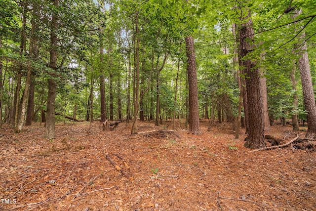 2724 Glastonbury Rd, Apex, NC 27539 - view of tree filled area