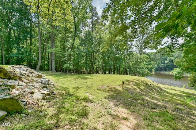 110 Wolfs Trl, Chapel Hill, NC 27516 - photo 69