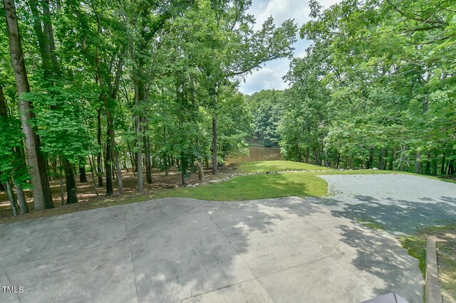 110 Wolfs Trl, Chapel Hill, NC 27516 - photo 67