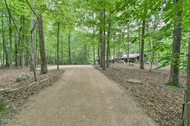 110 Wolfs Trl, Chapel Hill, NC 27516 - photo 68
