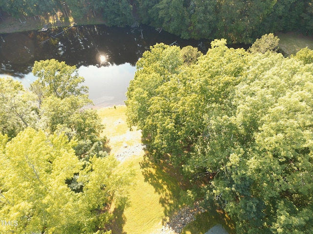110 Wolfs Trl, Chapel Hill, NC 27516 - photo 73