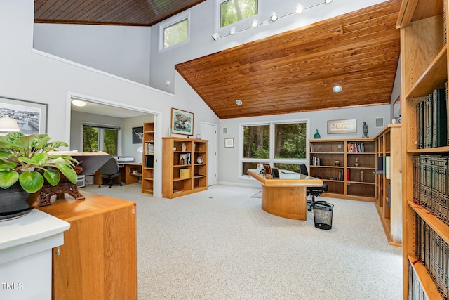 6 Womble Cir, Durham, NC 27705 - carpeted office space with wooden ceiling and high vaulted ceiling