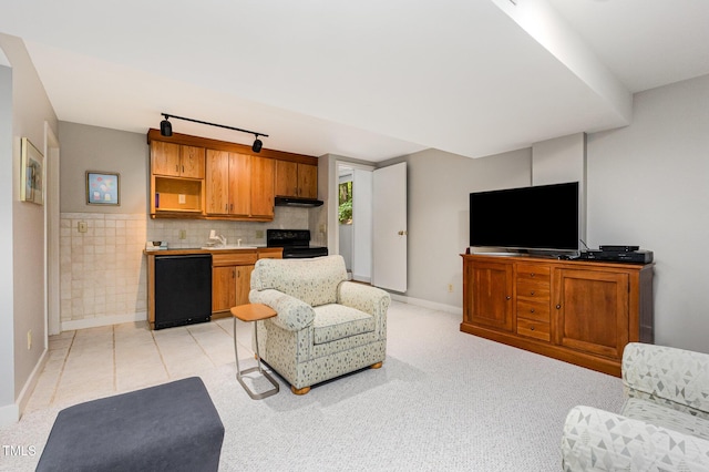 6 Womble Cir, Durham, NC 27705 - living room featuring track lighting and baseboards