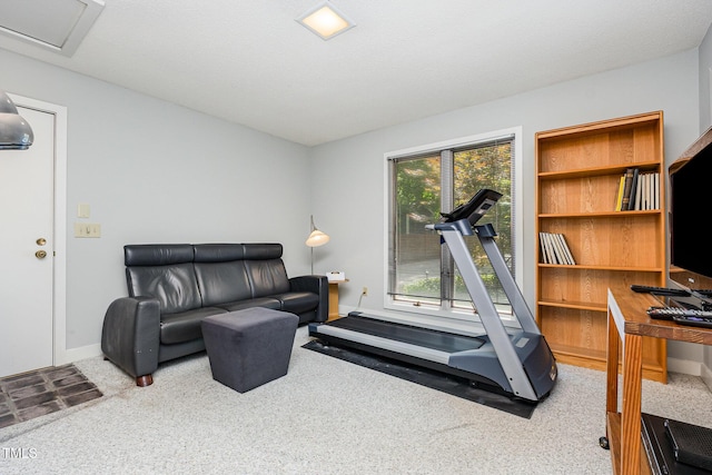 6 Womble Cir, Durham, NC 27705 - workout room with carpet flooring and baseboards
