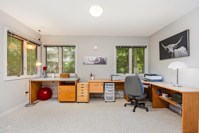 6 Womble Cir, Durham, NC 27705 - carpeted office space with healthy amount of natural light