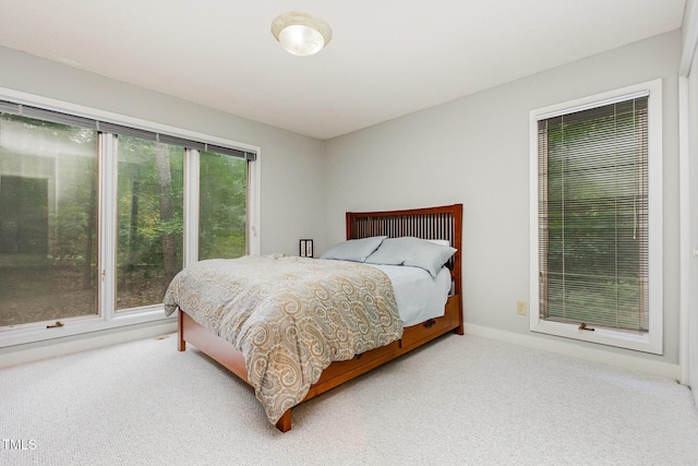 6 Womble Cir, Durham, NC 27705 - bedroom with carpet floors