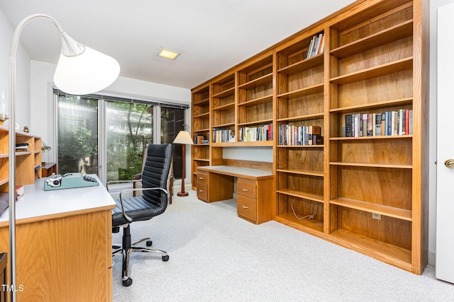 6 Womble Cir, Durham, NC 27705 - office with carpet flooring