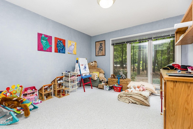 6 Womble Cir, Durham, NC 27705 - recreation room with carpet