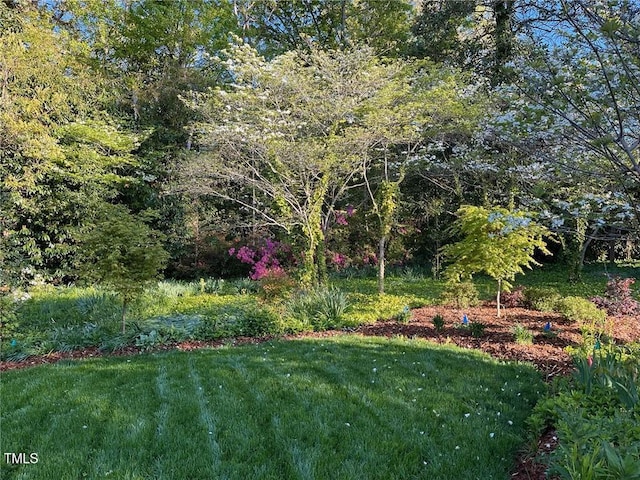 1004 E Willowbrook Dr, Burlington, NC 27215 - view of grassy yard