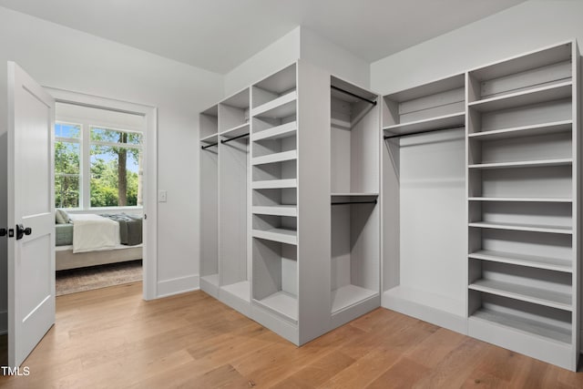 217 Dublin Rd, Raleigh, NC 27609 - walk in closet featuring light wood-style flooring