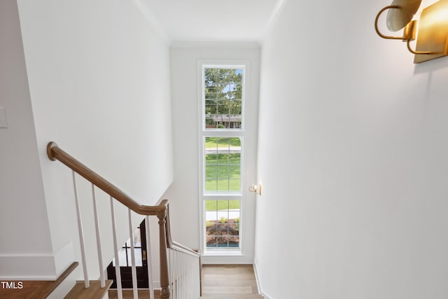 217 Dublin Rd, Raleigh, NC 27609 - staircase featuring crown molding and wood finished floors