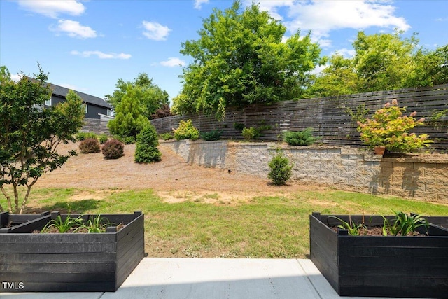 2225 Millbank Village Ct Unit 101, Raleigh, NC 27610 - fenced backyard featuring a vegetable garden