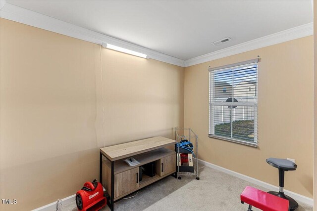 1004 Bridgewater Dr, Durham, NC 27704 - rec room featuring ornamental molding, baseboards, and carpet