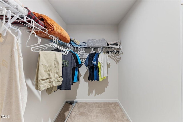 1004 Bridgewater Dr, Durham, NC 27704 - spacious closet with carpet flooring