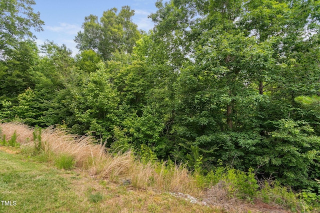 817 Stable Fern Dr, Fuquay Varina, NC 27526 - photo 59