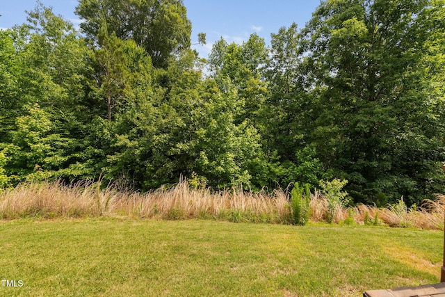 817 Stable Fern Dr, Fuquay Varina, NC 27526 - photo 60