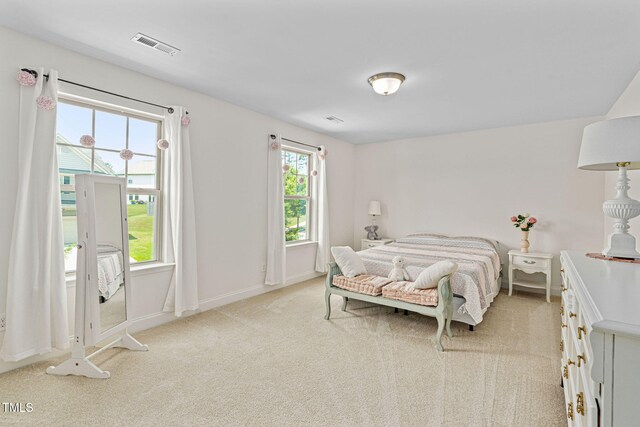 817 Stable Fern Dr, Fuquay Varina, NC 27526 - photo 31