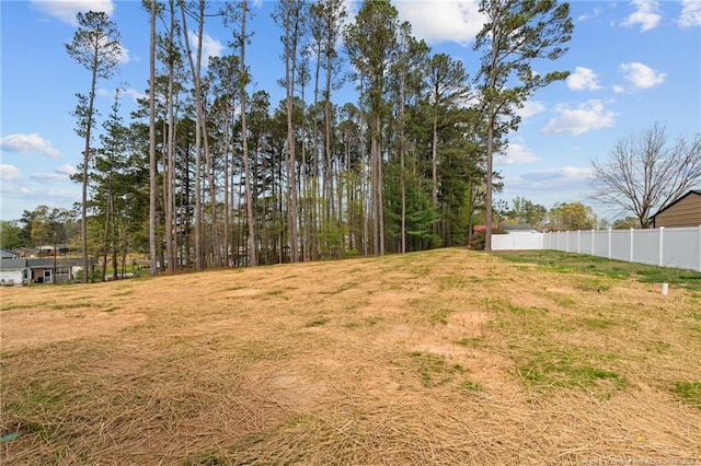 60 Bennett Rd, Coats, NC 27521 - view of yard