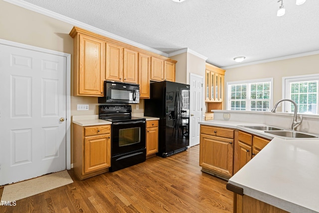 7021 Oviedo Dr, Raleigh, NC 27603 - photo 12