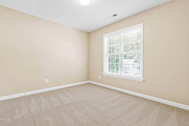 7021 Oviedo Dr, Raleigh, NC 27603 - photo 25