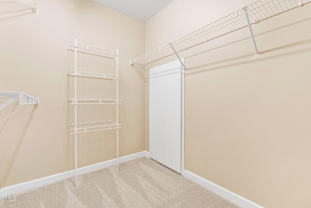 7021 Oviedo Dr, Raleigh, NC 27603 - photo 33