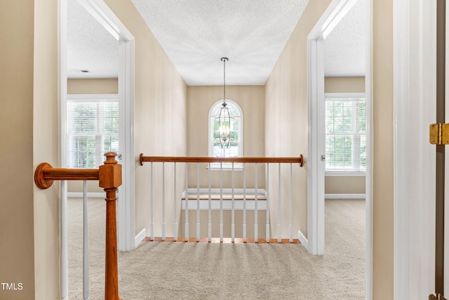 7021 Oviedo Dr, Raleigh, NC 27603 - photo 23