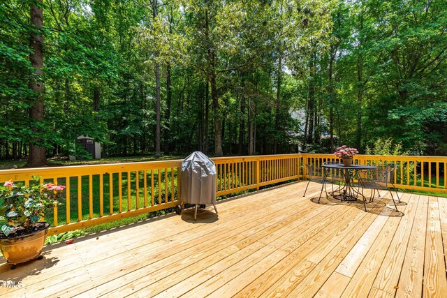 7021 Oviedo Dr, Raleigh, NC 27603 - photo 35
