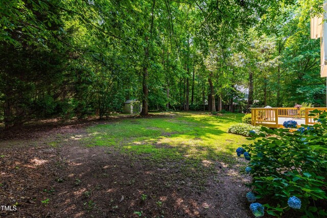 7021 Oviedo Dr, Raleigh, NC 27603 - photo 37