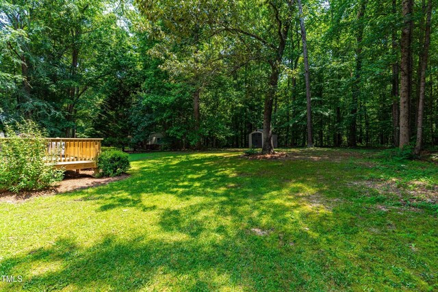 7021 Oviedo Dr, Raleigh, NC 27603 - photo 41