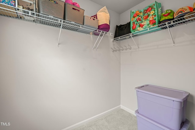 5430 Crescent Square St, Raleigh, NC 27616 - spacious closet featuring carpet floors