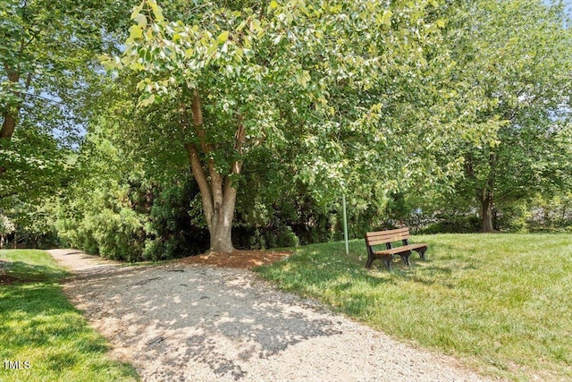 4724 Ludwell Branch Ct, Raleigh, NC 27612 - view of property's community with a yard