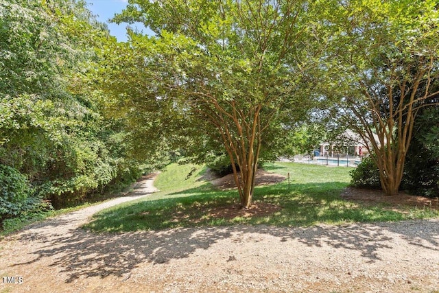 4724 Ludwell Branch Ct, Raleigh, NC 27612 - view of grassy yard featuring an outdoor pool