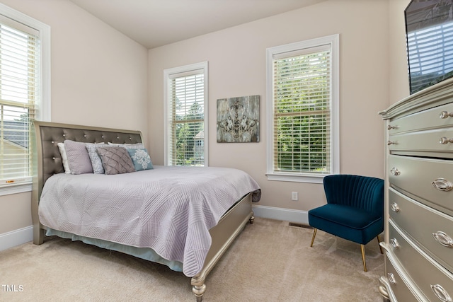 7632 Summer Pines Way, Wake Forest, NC 27587 - bedroom featuring multiple windows and carpet floors