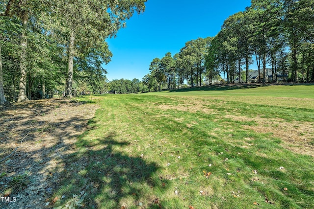 403 Rutherglen Dr, Cary, NC 27511 - view of green lawn