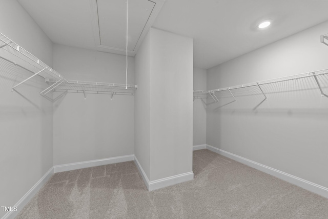 3500 Bailey Lake Dr, Fuquay Varina, NC 27526 - spacious closet featuring attic access and carpet flooring
