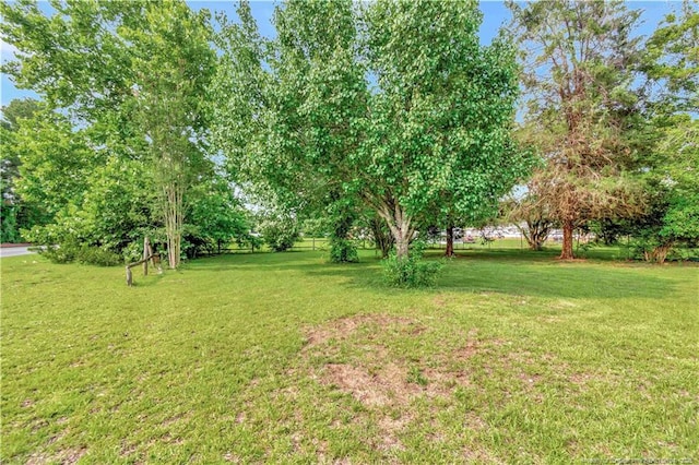 2567 Alamac Rd, Lumberton, NC 28358 - photo 4